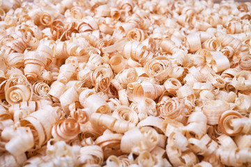 Sawdust wood closeup