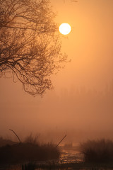 Sonnenaufgang im Moor