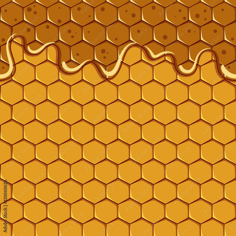 Poster seamless pattern of the honey and honeycomb. vector.