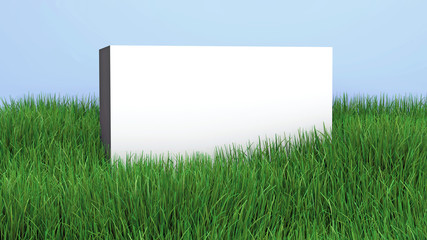 White wall with a copy space on green grass lawn