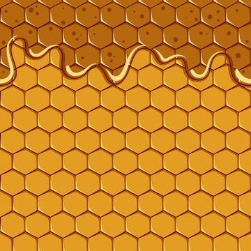 Seamless pattern of the honey and honeycomb. Vector. © rizik_pic