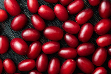 Dogwood red berries