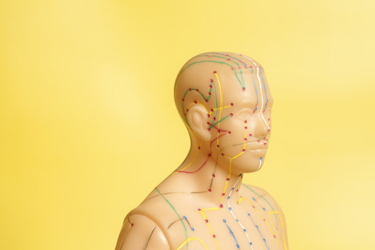 Medical acupuncture model of human head on yellow background