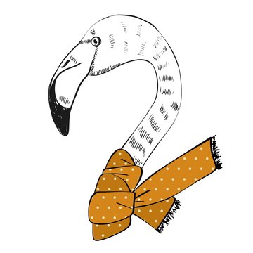 vector hand drawn illustration of flamingo with scarf