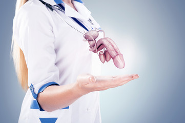 Doctor with stethoscope and penis on the hands in a hospital.
