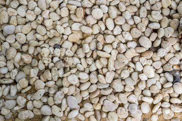 natural white pebbles