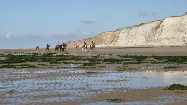 groupe de cavali&egrave;re sur la plage(4k video)