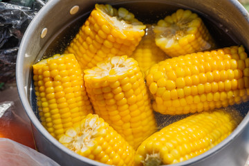 corn boil in the pot