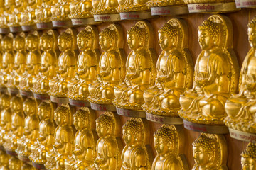 Many remember the golden Buddha.