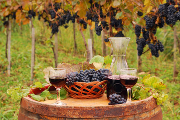 Red wine and grape on wooden barrel in vineyard autumn season