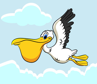 pelican cartoon clipart