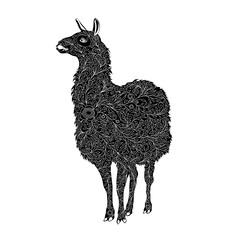 Decorative vector Lama. Llama stylized. black and white image © aghidel