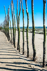 Parc &agrave; huitres du cap ferret
