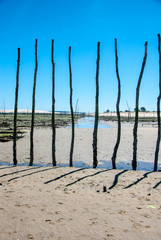 Parc &agrave; huitres du cap ferret