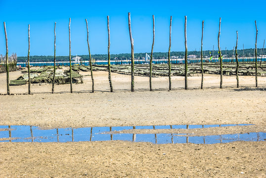 Parc &agrave; huitres du cap ferret