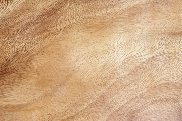 burr wood texture background
