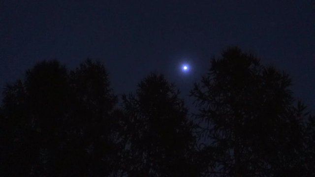 cgi of a bright ligt or ufo moving in the night sky behind some trees. handheld shot with noise due to the low light conditions
