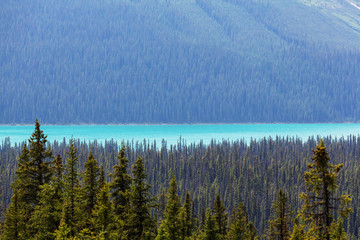 Obraz premium Lake in Canada