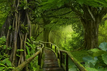 Abwaschbare Fototapete Dschungel Thailand-Dschungel