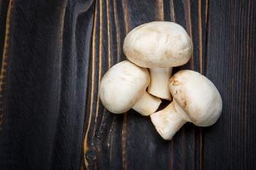 champignon mushroom on wooden background