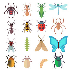 Insect vector flat icons set
