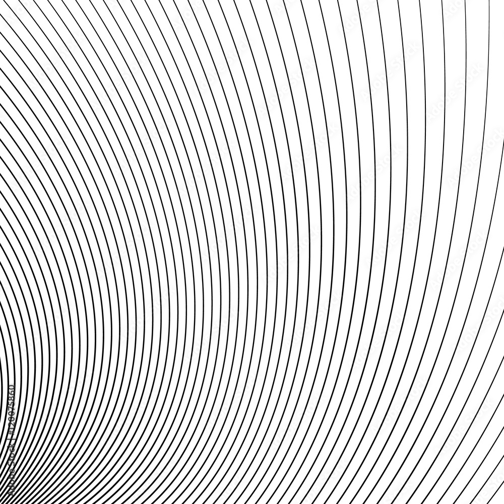 Poster Thin dynamic curved lines monochrome geometric pattern