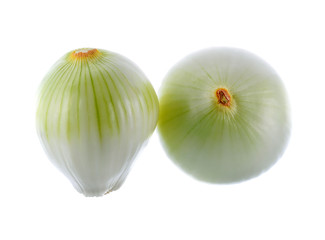 onion  on white background