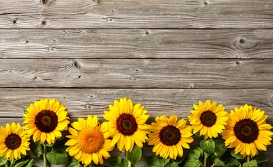 Fotobehang zonnebloemen op houten plank © Alexander Raths