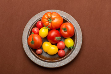 Tomaten, frisch gepflückt. 