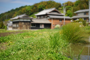Fototapeta na wymiar Rural view in Japan