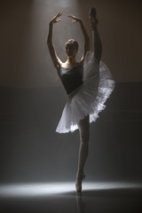Ballerina in the white tutu - obrazy, fototapety, plakaty