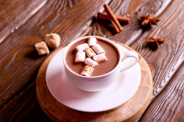 Hot Chocolate in cup with cocoa powder and cinnamon stick