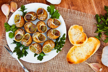 Escargots de Bourgogne - Snails with herbs butter, gourmet dish in French traditional  with parsley and bread on white platter