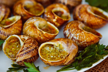 Escargots de Bourgogne - Snails with herbs butter, gourmet dish in French traditional  with parsley and bread on white platter
