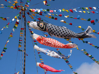 Koinobori