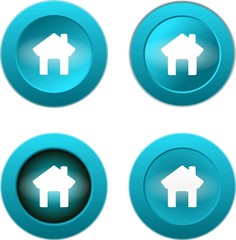 home web glossy icon on white background