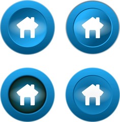 home web glossy icon on white background