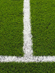 Fototapeta premium Artificial grass