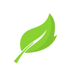 Green leaf. Vector illustration