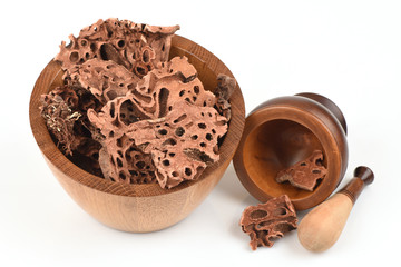 Ant Plant (Ant Plant), dry slides, Thailand herbs with medicinal properties, faith and a sacred object.