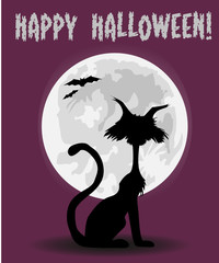happy halloween cat silhouette moon