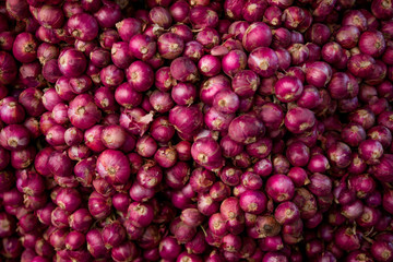 Big raw purple onions used commonly in Asian and Western cuisine. street food in Thailand.