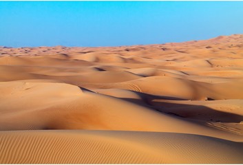 Fototapeta na wymiar Arabian desert dune background on blue sky. Desert near the city of Dubai. desert landscape. dunes stretching into garizont