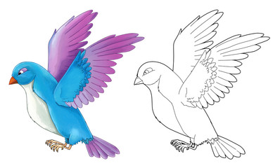 Cartoon exotic colorful bird - flying - isolated - with coloring page - illustration for children