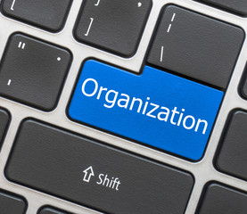 Fototapeta premium keyboard button with word website