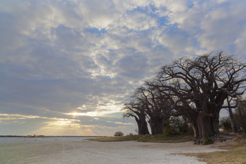 Clouds at sunset at Baines Baobabs