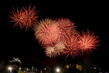 Backfischfest Feuerwerk in Worms an Rhein 2016