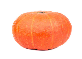 Fresh pumpkin isolate