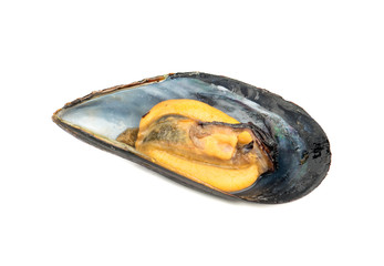 Cooked mussel in shell