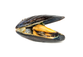 Prepared mussels isolate